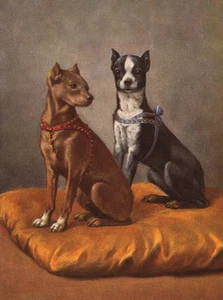 MINIATURE PINSCHER CHARMING DOG GREETINGS NOTE CARD BEAUTIFUL DOGS ON CUSHION - Picture 1 of 1