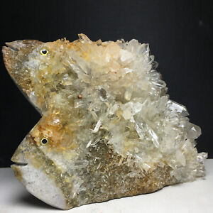 1068g Natural Crystal Cluster,Specimen Stone,Hand-Carved, Tropical Fish.Healing