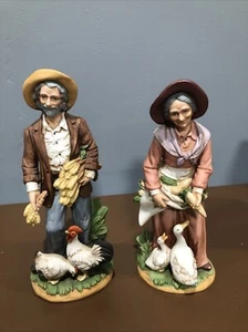 Old Couple Chicken and Duck Farmers ￼ - Picture 1 of 9