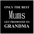 Only the Best Mums/Dads Get Promoted to Grandma/Grandad Slate Coasters Gift Set