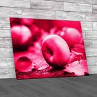 Apple Fruit A Minimalist Guide Canvas Print Large Picture Wall Art