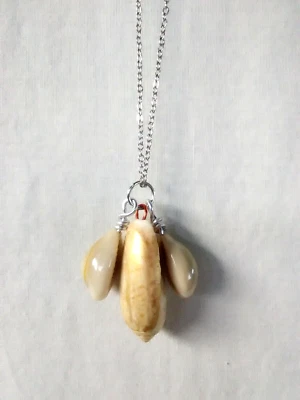 Collar Boho Olive Cowrie Seashell Colgante 18" Mujer Joyería Vendedor de EE. UU. Regalo Foto 1 de 4