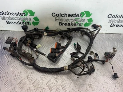 SUZUKI GW250 GW 250 INAZUMA WIRING LOOM  YEAR 2013-2018 (CMB1205) - Image 1 of 4