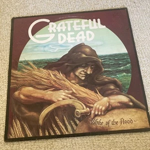 Grateful Dead -Wake of The Flood Lp. First Uk Press In Great Condition - Picture 1 of 4