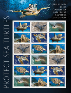#5865 - 5870  2024 Protect the Sea Turtles sheet/18 (After June 11)  - MNH