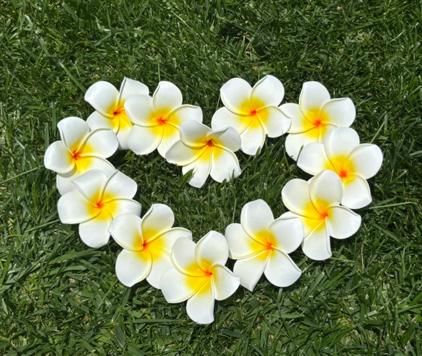 Hawaiian Plumeria Tropical Hair Clip Beach Luau Foam Individual or Lot of 12 - Image 1 of 2