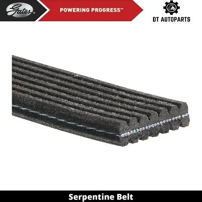 Puertas de cinturón serpentine para Porsche Panamera 2010-2016 2011 2012 2013 2014 2015 Foto 1 de 4