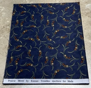 MODA Prarie Moon by Kansas Troubles - 17" - Picture 1 of 2