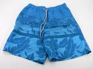 Kirkland Men's Comfort Waistband Swim Shorts Size M Hibiscus Stripe/Ombre/Blue - Picture 1 of 4