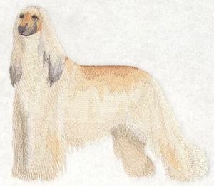 Afghan Hound Hunderasse personalisiert bestickt Fleece Stadiondecke Geschenk - Bild 1 von 2