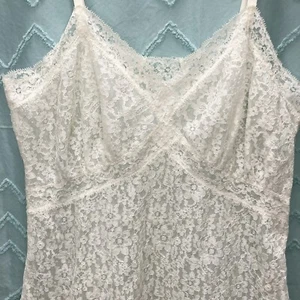Vintage VAN RAALTE Fitted Full Sheer Lace Night Gown Lingerie 34A Sexy Slip - Picture 1 of 12