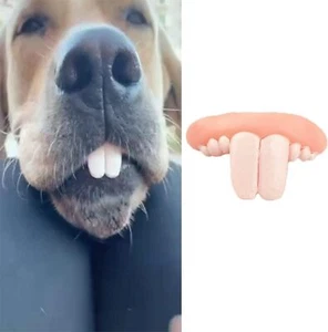 Fake Dog Teeth, White Fake Teeth Fake Teeth for Dogs,Dog Toys,Funny Dog Teeth - Picture 1 of 5