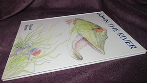 Down the River ~ David Pierce. Fantasy Raft LARGE Hb 1993 NEW! RARE in MELB! - Picture 1 of 12