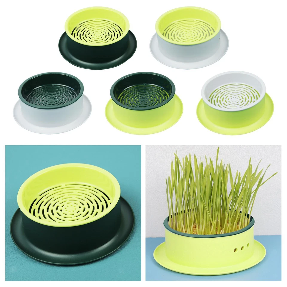 Vassoio per germogli Vassoi per la germinazione dei semi Scatola per la - Immagine 1 di 2