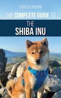 shiba inu características