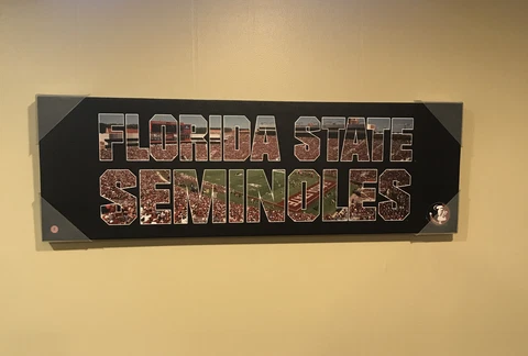 Florida State Seminoles College Football Canvas Poster Cover