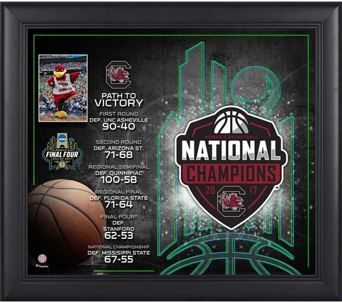 South Carolina Framed 15x17 2017 NCAA Women's National Champs Collage Cover