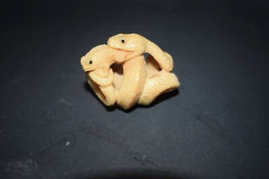 Netsuke, orzech taguana, wąż, faning ropuchy, oczy z rogu, znak., 54mm - Zdjęcie 1 z 6