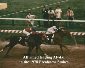 1978 - AFFIRMED & ALYDAR in the Preakness Stakes - Color Close Up - 10" x 8" - Picture 1 of 1