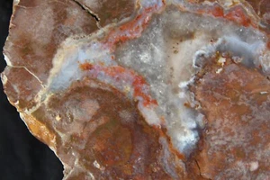  Thunderegg - Bakers Ranch - Faced Half - 1 Lb, 1 Oz - Rare! - Picture 1 of 10