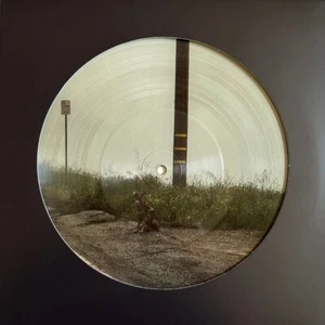 Dominic Fike 14 Minutes 10" Vinyl Picture Disc EP Collectible Limited Edition - Picture 1 of 3