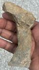 Rare Neolithic Native Americans Burin And Graver Stone  Artifact 5” L