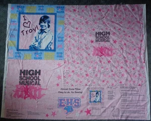 DISNEY HANDWERK STOFF PANEL HIGH SCHOOL MUSICAL I LOVE TROY WANDKUNST KISSEN MEHR - Bild 1 von 1