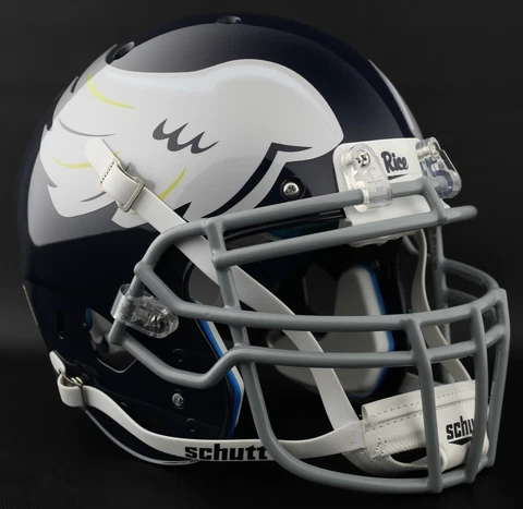 *CUSTOM* RICE OWLS NCAA Schutt XP GAMEDAY Replica Football Helmet Cover