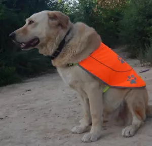 Reflective Hunting Pet Vest XS Small Dog Orange Yellow High Visibility - Picture 1 of 6