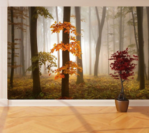 Autumn forest photo wallpaper 151x102 inch 9.98 m2 orange trees wall mural