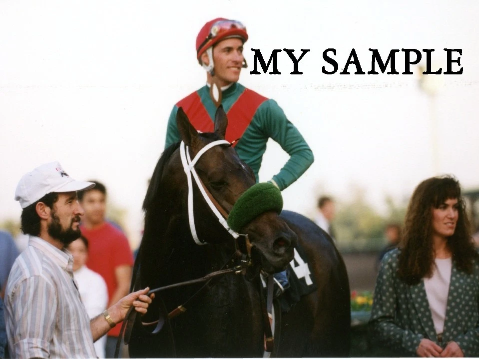 ESTRELLA DE COZCENO 1993 SAN MARCOS GANADOR DISCAPACITADO SANTA ANITA FOTO 8 X 10 #5 Foto 1 de 1