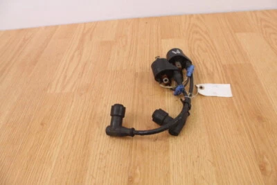 Conjunto de bobinas de ignição 2009 ARCTIC CAT M1000 SNO PRO - Imagem 1 de 4