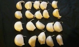 10 Garlic clove ,Wight garlic cloves/seeds (Hardy Bulb/clove) - Picture 1 of 2