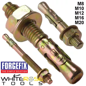 ForgeFix Through Bolts Wall Floor Anchor Hanging Rawl Brick Masonry Concrete - Picture 1 of 5