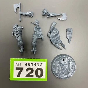 BRANDS OATHBOUND GUNNAR BRAND CHAOS MARAUDER WARHAMMER AGE OF SIGMAR - Bild 1 von 1