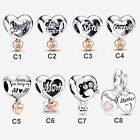 S925 Silver Plated Charm fit all your moments Bracelet and Necklace - BRAND NEW