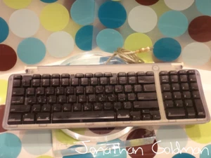 Apple USB Keyboard for Clear Purple Grape iMac Power Mac G3 G4 Cube G5 Pro M2452 - Picture 1 of 2