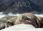 Paul Souders Aiviq: Life With Walruses (Hardback)