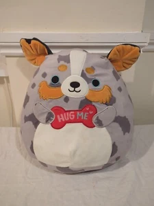 Squishmallows Raylor the Dog 12" Valentine's Day 2022 Discontinued Rare Htf - Picture 1 of 6