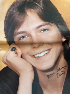 David Cassidy, zweiseitiges Vintage Centerfold Poster, AA - Bild 1 von 1