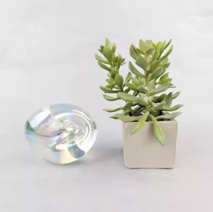 Signed Robert Eickholt Iridescent Pinched Art Glass Paperweight Swirl Rare - Picture 1 of 5