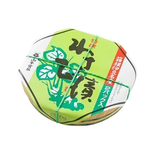 Shizuoka Pref. Yamamoto Specially Selected Wasabi Pickles 140g × 2 Japan Express - Picture 1 of 5