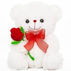  Teddy Bear Valentines Day Teddy Bear for Girlfriend Valentine's Day Bear