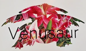 Venusaur - Pokemon Wall Art Print High Gloss 11 in x 17 in - Picture 1 of 1