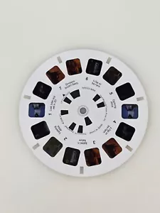 Super Sounds Discover Kanal Demo Rolle M9533-9099 2008 View-Master Fisher-Price - Bild 1 von 2