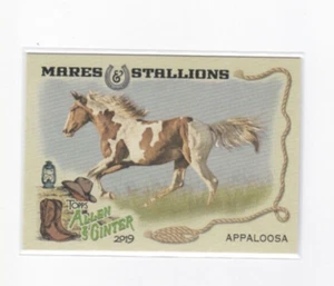 APPALOOSA 2019 ALLEN & GINTER MARES & STALLIONS INSERT CARD-SHIPS FREE - Picture 1 of 21
