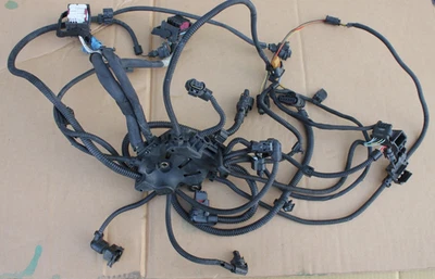 BMW 750i 750li Alpina b7 2013-2015 4,4 L tracción trasera motor cableado arnés telar Foto 1 de 4