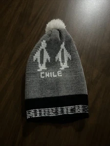 chile pinguin rodel - Bild 1 von 3