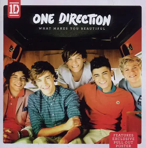 One Direction - What Makes You Beautiful - Bild 1 von 1