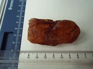 Inclusion Fossil/ Wooden Stick/ Plant Antique Baltic Genuine Amber Stone 27g - Picture 1 of 10